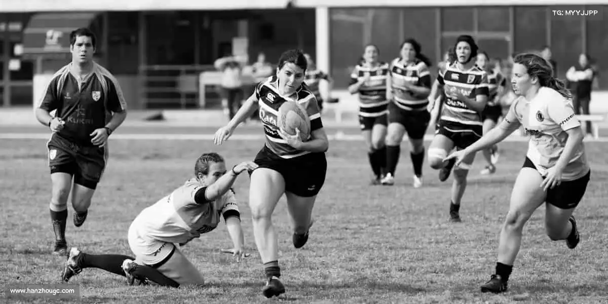 为什么选择我们